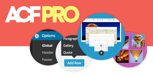 Chia sẻ Advanced Custom Fields Pro mới nhất