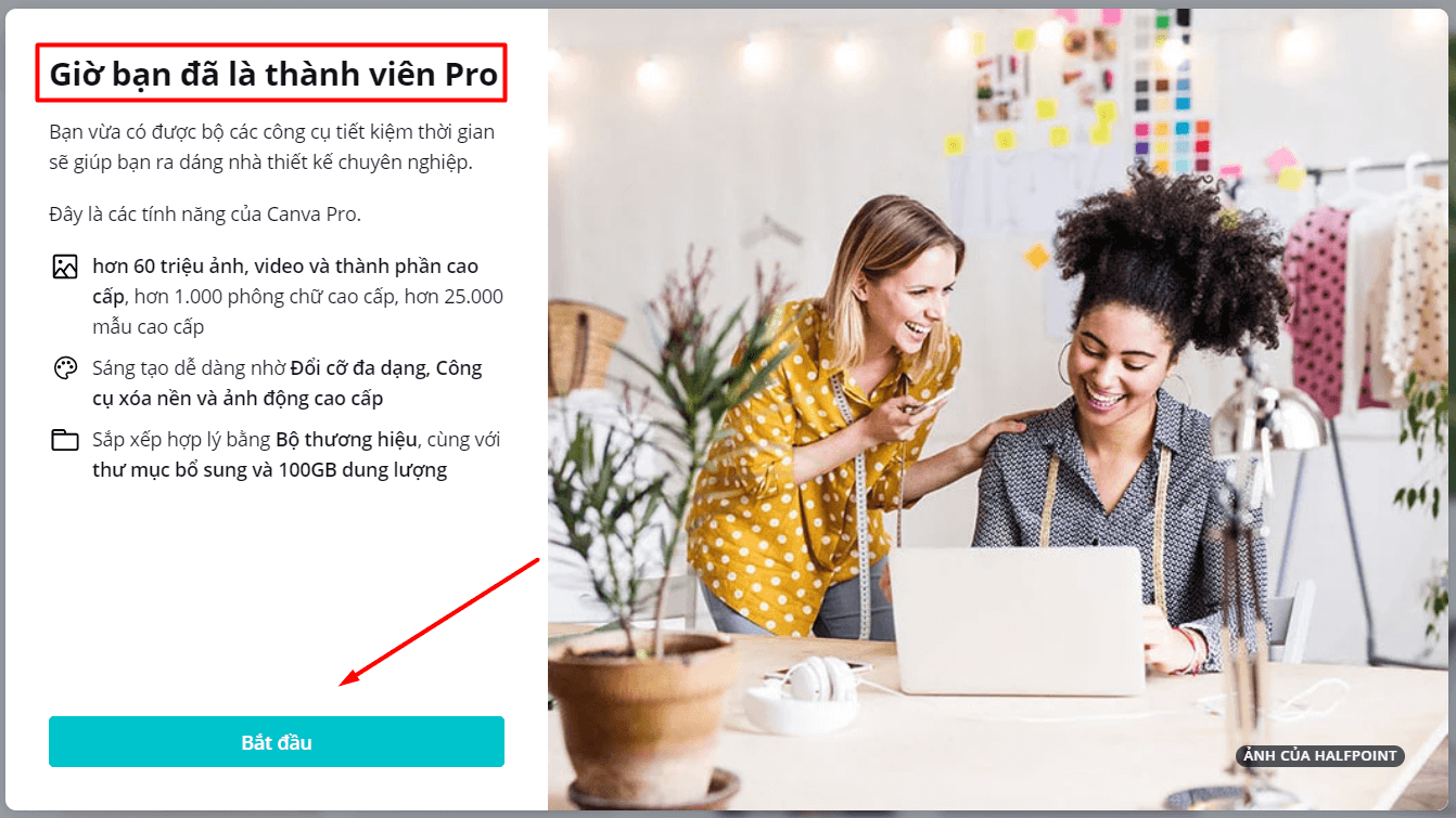 Tài khoản Canva Pro miễn phí