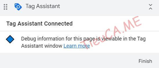 tag assistant connected